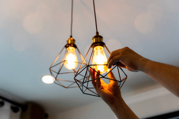 Best Home Electrical Repair  in Lyman, MS